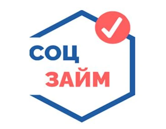 Социальный займ